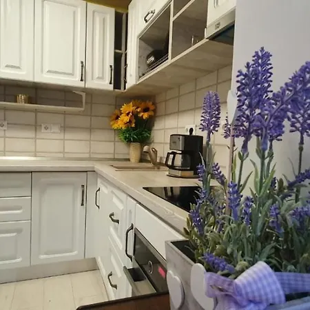 Apartament 3 Spatios *